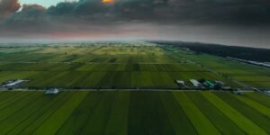 Untitled design (18)