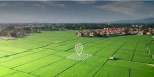 Untitled design (25)