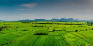 Untitled design (27)