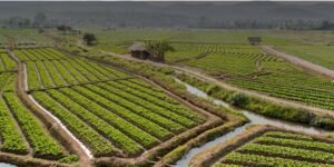 Untitled design (28)